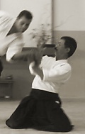Shibata Sensei